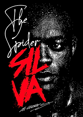 UFC MMA Anderson Silva