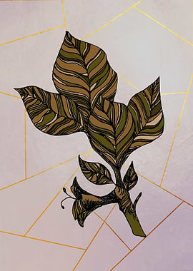 Brown leaves