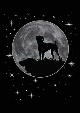 German Shorthair Pointer