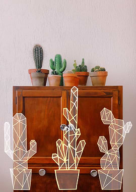Indoor Cactus