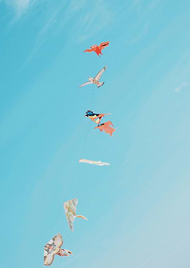Kites in the sky