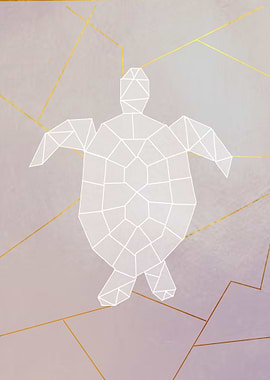 turtle lines