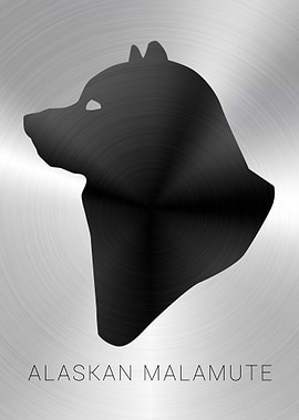 Alaskan Malamute Portrait
