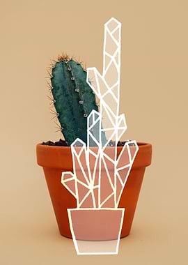 standing cactus