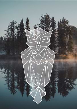 Lake owl