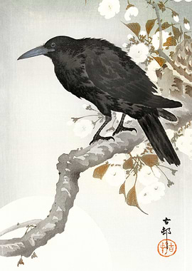 A crow and the full moon