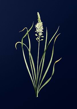 Vintage Flower Deep Blue