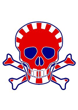 Japanese Flag Skull