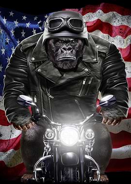 Gorilla Riding Motorcycle