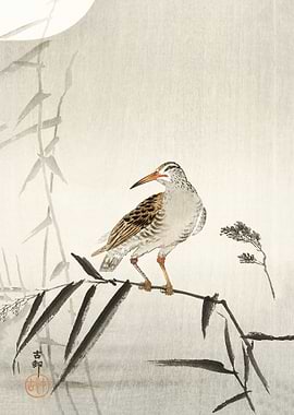 Black horseman on bamboo