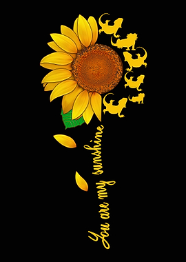 Bearded Dragon Funny