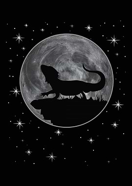 Bearded Dragon Funny