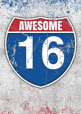 Awesome 16th Old Gift