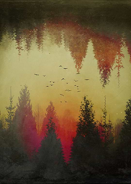 Distorted Landscape