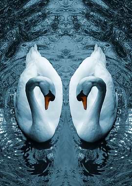 Swan Mirror