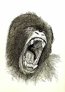 Gorilla