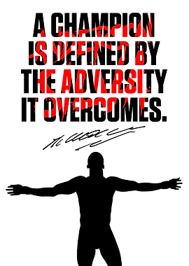 UFC MMA Anderson Silva