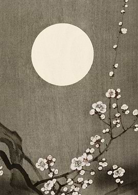 Blooming plum blossom