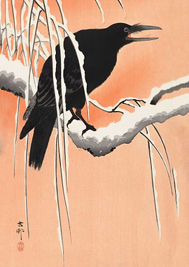 Crow on snowy branch