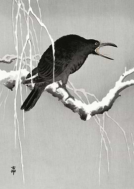 Crow on snowy branch