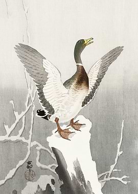 Duck on snowy tree stump