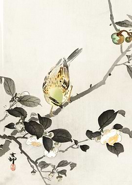 Bunting on blossom branch