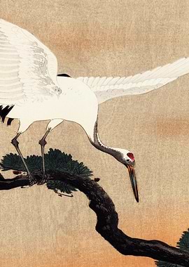 Crane Bird Branch Traditio