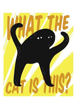 Funny cats with text