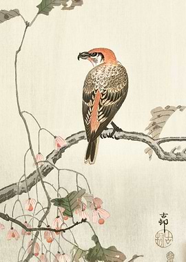 Crossbill on tree branch