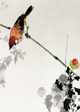 Swallow On Branch Traditio