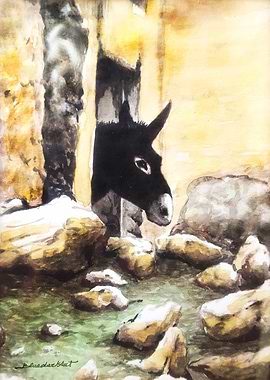 Donkey in Farmhouse Window