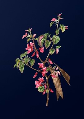 Floral Illustration Blue