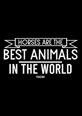 Horse riding stables Sport