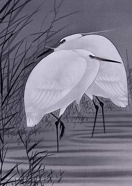 Egrets Traditional Japanes