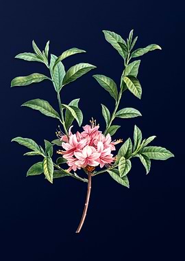 Floral Illustration Blue