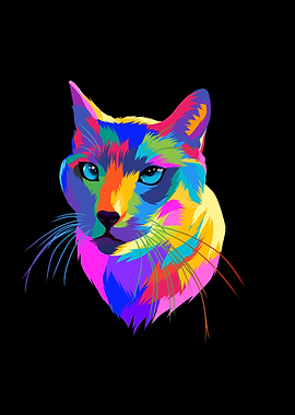 Colorful cute cat rainbow