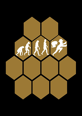 Beekeeper Honeybee apiaris