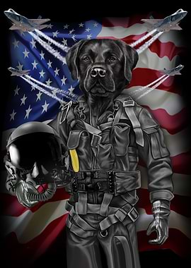 Retriever in Air Force