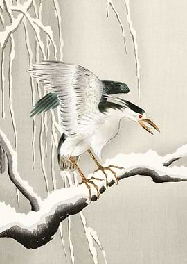 Emerge on snowy branch