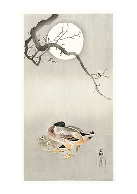 Ducks at full moon