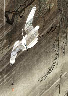 Egret in storm