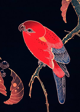 Red Parrot Traditional Jap