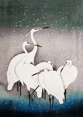 Group of Egrets