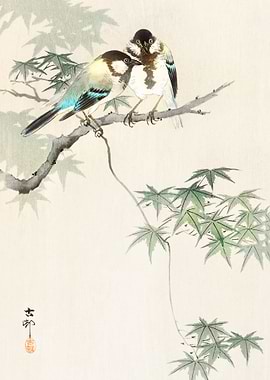 Great tits on maple branch