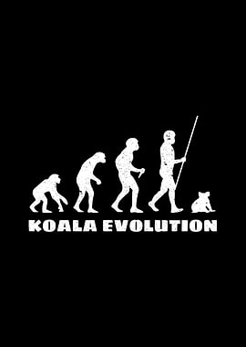 Koala Evolution