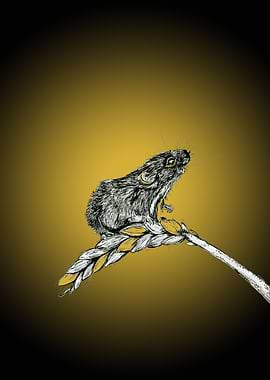 Harvest Mouse