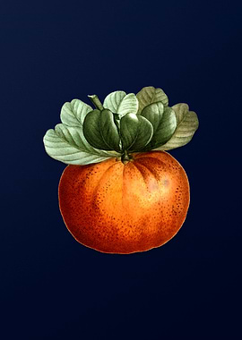 Vintage Fruit on Deep Blue