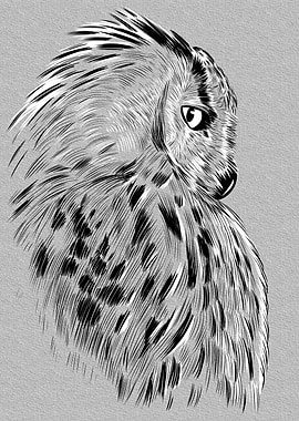 Profile owl sketch