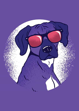 Cool dog with sunglasses