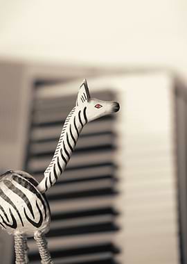Piano Zebra